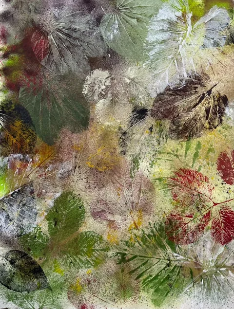 Moss Herbarium — full view